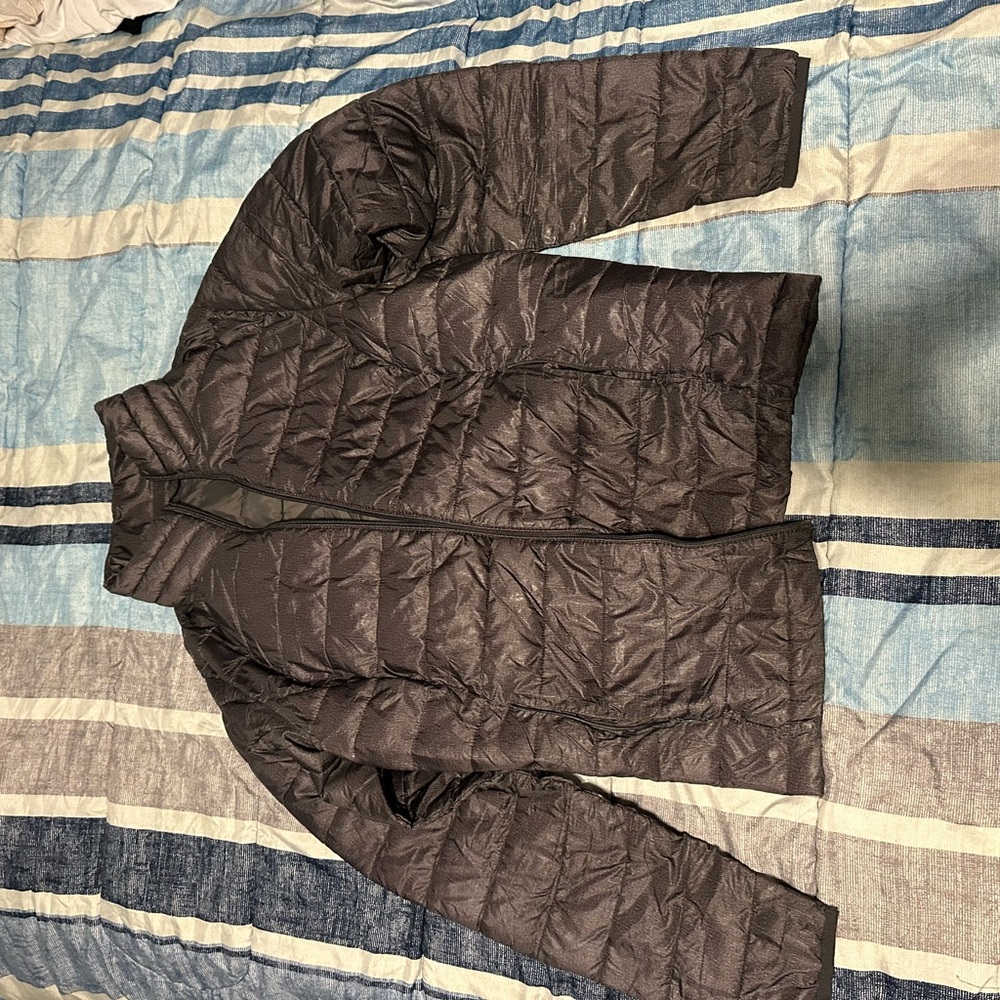 Gray Puffer